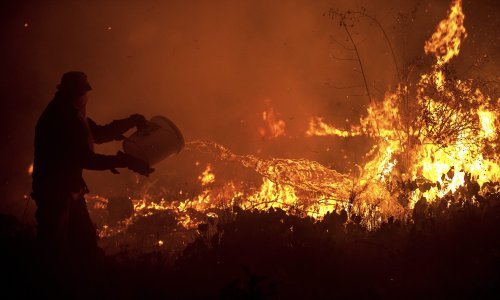 Statistika užasa: Izgorjelo 4500 hektara borove šume, građani zvali vatrogasce 5000 puta