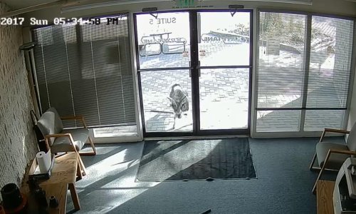 Neočekivani provalnik napravio štetu, ali ništa nije odnio