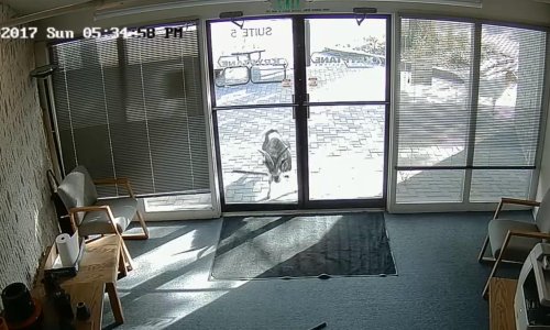 Neočekivani provalnik napravio štetu, ali ništa nije odnio