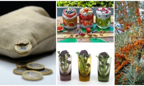 Superhrana donosi superzaradu