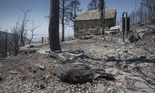 Požar spalio sve pred sobom. Evo kako izgleda Žrnovnica danas