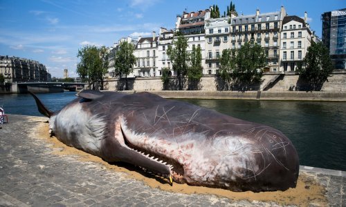 Parižane iznenadio ogroman kit na obali Seine