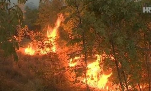 Brzom reakcijom vatrogasci zaustavili požar nadomak Nacionalnog parka Krka