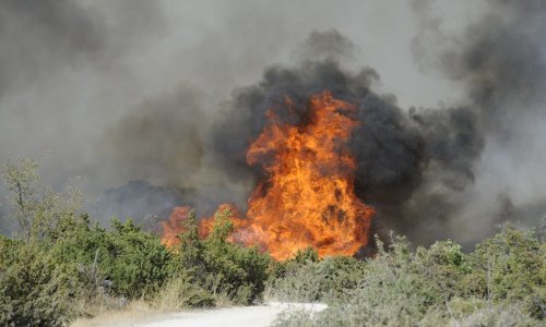 Gori kod Muća na teško pristupačnom terenu