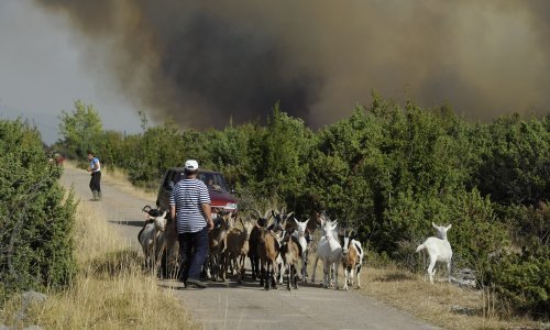 Vatrogasni zapovjednik: Požar kod Kistanja zaustavljen i pod kontrolom