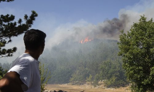 Nakon 20 dana požar na Dinari ugasila kiša