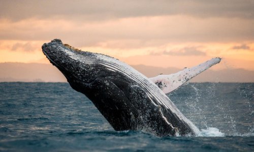 U sudaru kita i turističke brodice ozlijeđeni putnici