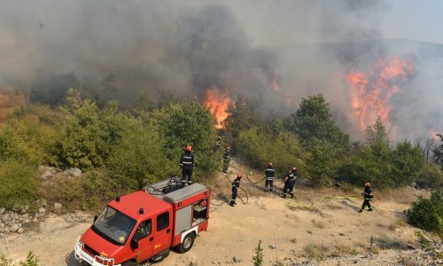 Neubrojivog starca uhvatili vatrogasci dok je palio požare kod Kistanja