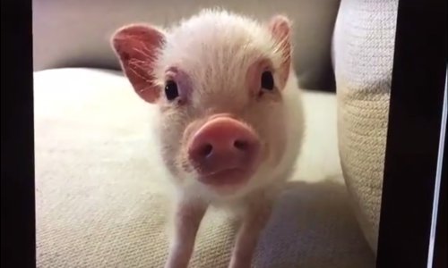 Znate li što se skriva iza ove slike?