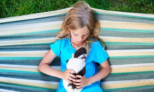 Evo kako odabrati idealnog kućnog ljubimca za dijete
