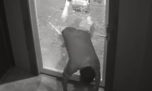 Ne može baš ni svaka budala biti lopov - evo dokaza