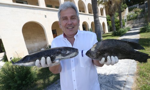 Pitali smo stručnjaka kakve će biti posljedice rasta temperature  mora