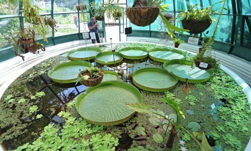 Zavirite u zagrebački vrt koji je proglašen jednom od najljepših turističkih atrakcija