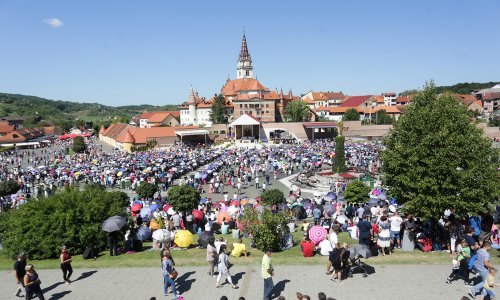 Bozanić:  Slijediti zauzimanje za čovjeka blaženog Alojzija Stepinca
