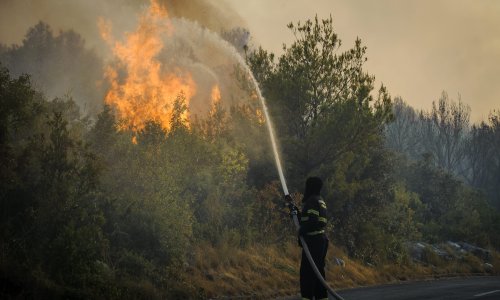 Vatrogasni zapovjednik: Opravdane su sumnje da su požari u Dalmaciji podmetnuti