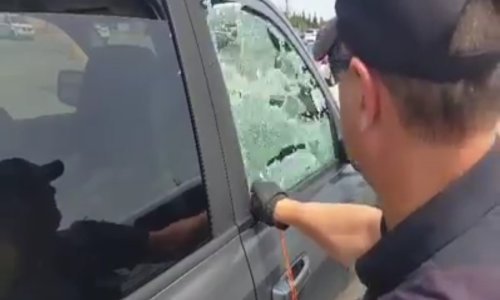 Možda vam nisu rekli, ali nije dobro ostaviti psa u autu preko ljeta