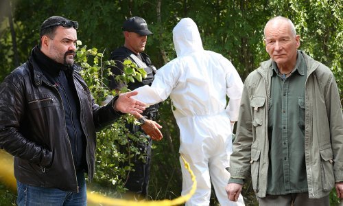 Pitali smo stručnjake što stoji iza napada na Zdravka Mamića