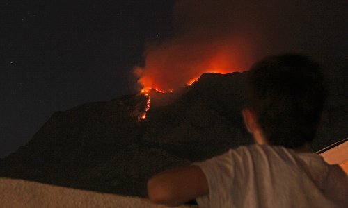 Požar na Biokovu nakon dva tjedna lokaliziran, divljač nije stradala
