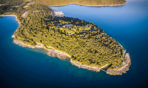 Najbolje od domaćih i regionalnih snaga na Dimensions i Outlook festivalu