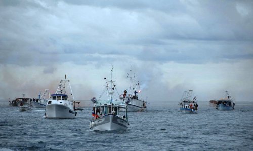 Kaos na pomolu: Znate li koliko ribara uopće operira u Piranskom zaljevu?