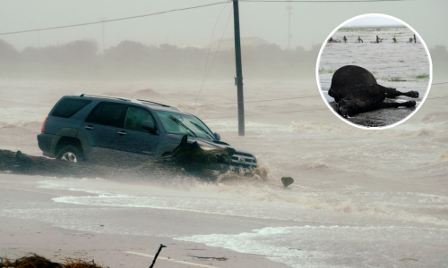Iz Teksasa stižu apokaliptični prizori: Pogledajte što je za sobom ostavio uragan Harvey