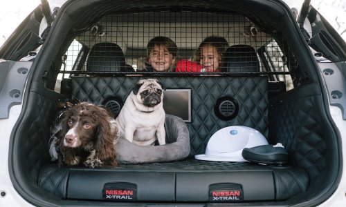 Nissan napravio automobil za - pse!