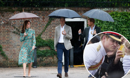 Prinova u kraljevskoj obitelji obradovala je i princa Harryja