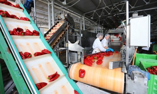 Radnicima Podravke božićnica od 1.500 kuna