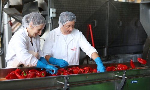 Podravka od domaćih proizvođača kupuje papriku za ajvar