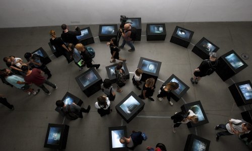 Međunarodni festival fotografije Organ vida ove godine posvećen ženama