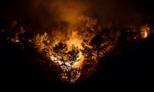 Požar između Krila Jesenice i Gornje Podstrane pod nadzorom, u pomoć stiže vojska i kanaderi