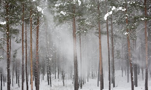 'Udaljen od ljudi' - sjećanje dugo dvije tisuće kilometara zabilježeno u seriji fotografija