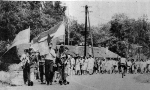 Kakva je veza između raspada Jugoslavije i propasti Borova?
