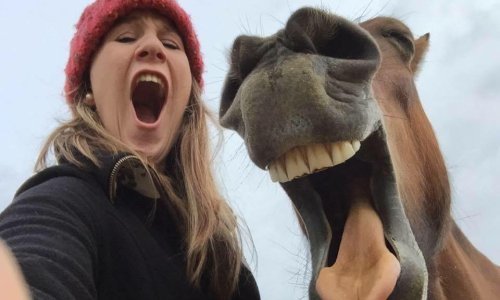 Ovo su najkomičnije fotke kućnih ljubimaca