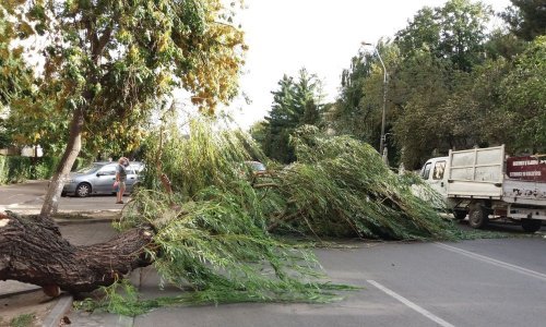 Oluja u Rumunjskoj usmrtila osam osoba, deseci ozlijeđeni