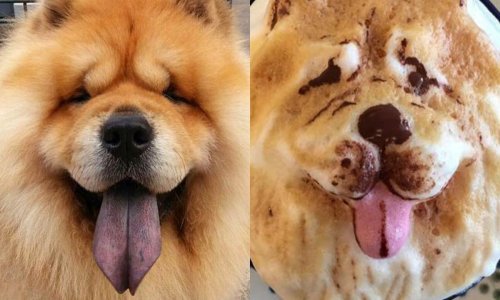 Mislite da vaš kafić radi najbolje crteže na pjeni od kave? Pogledajte ove kreacije