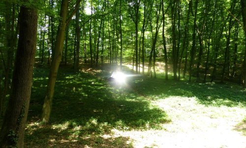 'Osunčanim mjestima' umjetnik Zoran Pavelić odaje počast žrtvama fašizma na Dotrščini