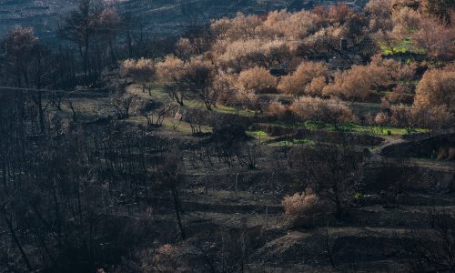 Kiša Dalmaciji nije donijela samo probleme: Pogledajte Žrnovnicu danas