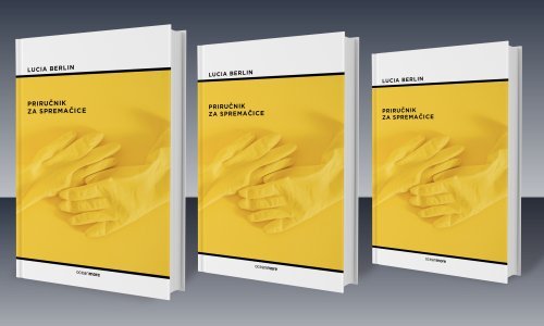 Priručnik za spremačice - moćne, autentične i životne priče koje imamo sreću čitati