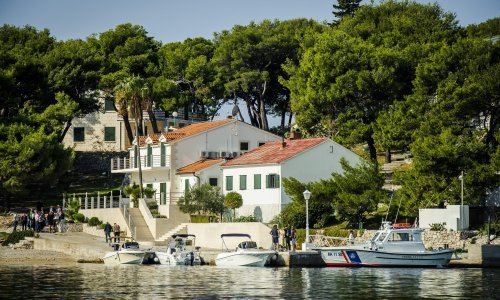 Pogledajte kako izgleda Todorićeva Smokvica