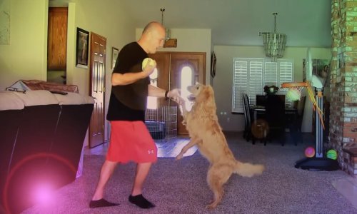 Ovaj pametni pas zna plesati