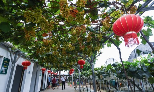 U Kini održan Forum o kulturnoj suradnji: Evo što je rekla ministrica Nina Obuljen