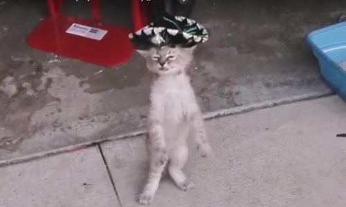 Ovo su najbolji failovi rujna