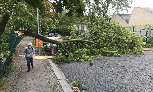 Oluja Xavier praćena orkanskim vjetrom hara Njemačkom, sedam osoba poginulo