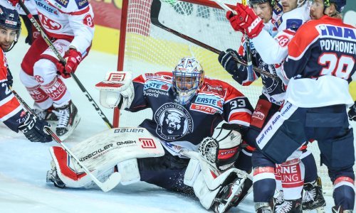 Pukla petarda; 'Medvjedi' natrpali mrežu Austrijanaca