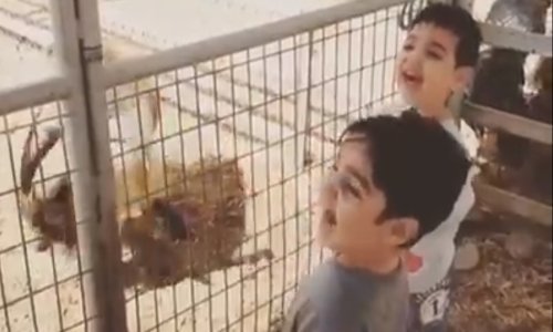 Mislio je da može biti smješniji od jarca. I uspjelo mu je