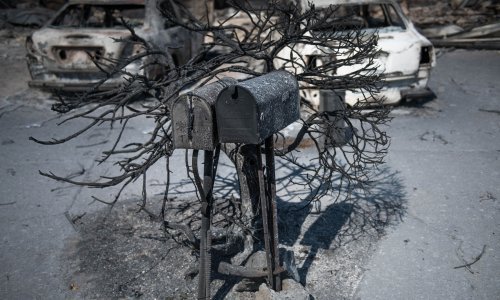 Pogledajte katastrofalne razmjere požara koji haraju Kalifornijom