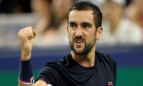 Čilić izborio polufinale s Nadalom i plasman karijere