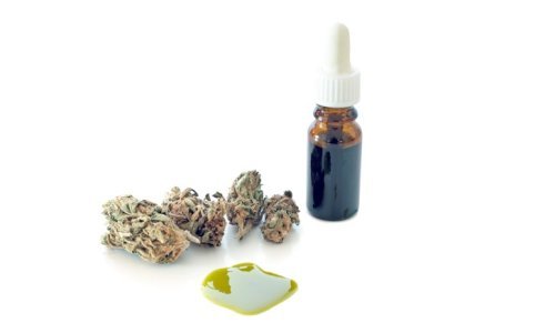 Medicinska konoplja stiže u ožujku, koliko će koštati?