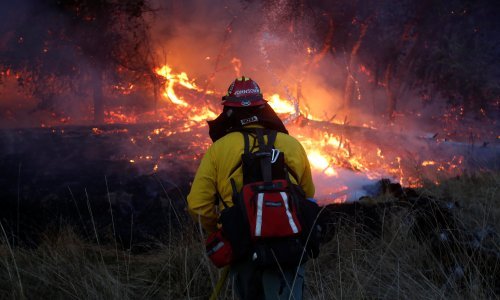 Požar u Konavlima gasilo 70 vatrogasaca i dva kanadera